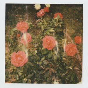 国产精品一线天在线观看
